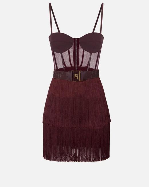 Elisabetta Franchi Mini -jurk In Tule En Franjes in het Purple