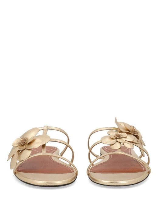Zimmermann Natural Leather Flat