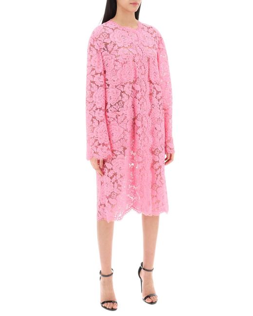 Matefre de poussière dans une dentelle à cordonnets floraux Dolce & Gabbana en coloris Pink