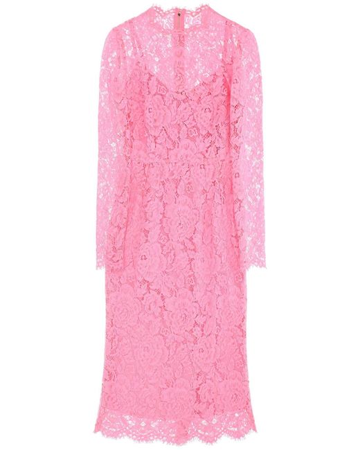 MIDI Robe en dentelle à cordonnets floraux Dolce & Gabbana en coloris Pink