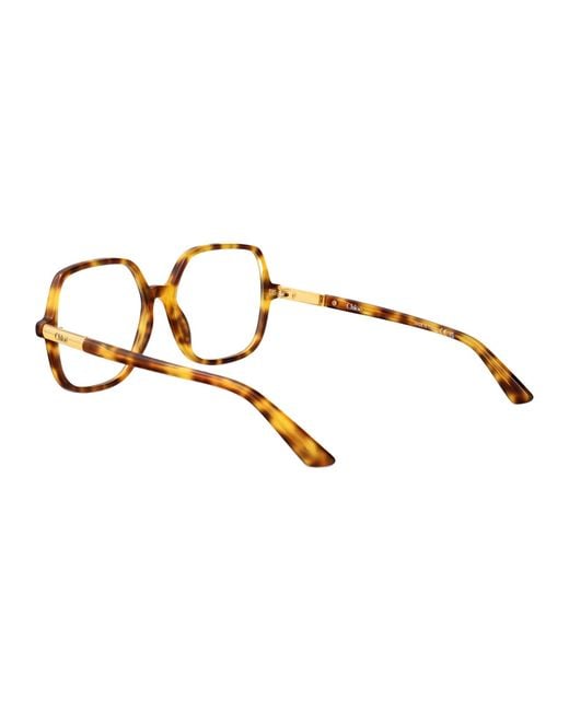 Chloé Brown Acetate Glasses