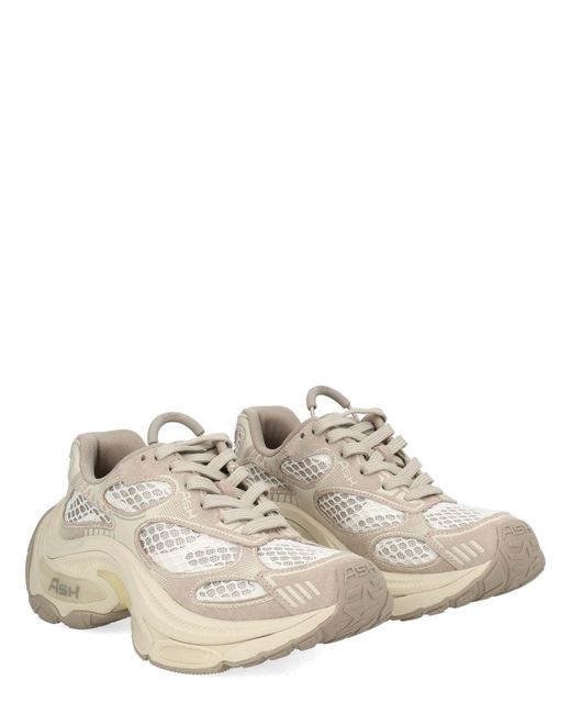 Ash White "Dragon" Sneaker