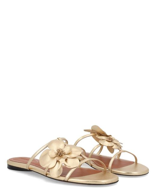 Zimmermann Natural Leather Flat