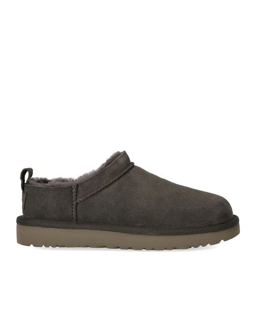 Ugg Brown Slippers