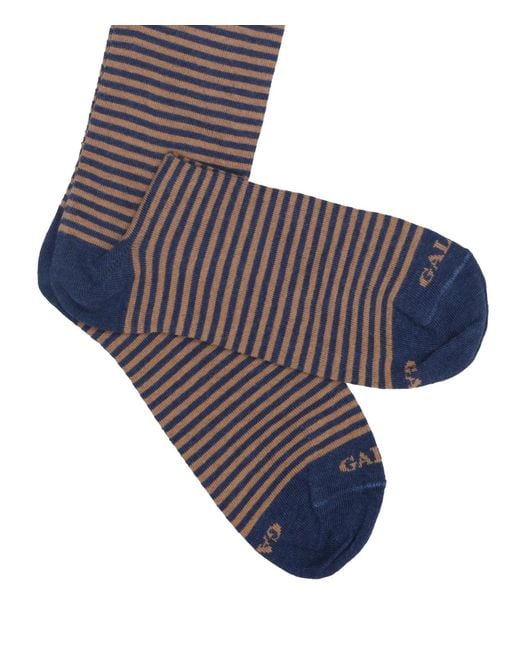 Gallo Blue Underwear
