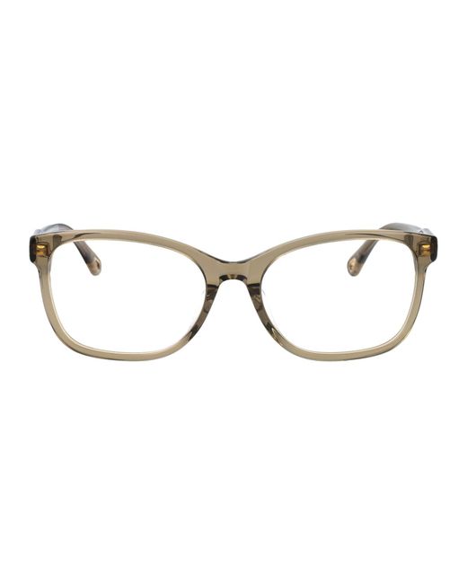 Chloé Brown Acetate Optical Glasses