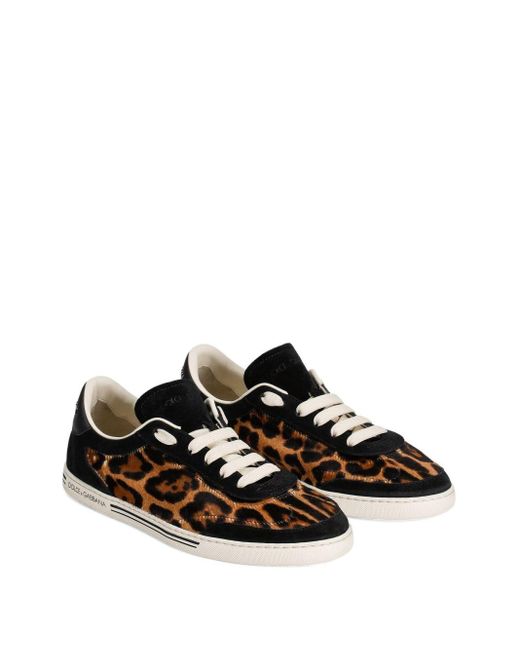 Dolce & Gabbana Black Leichte Saint Tropez Sneakers Mit Leo-Print