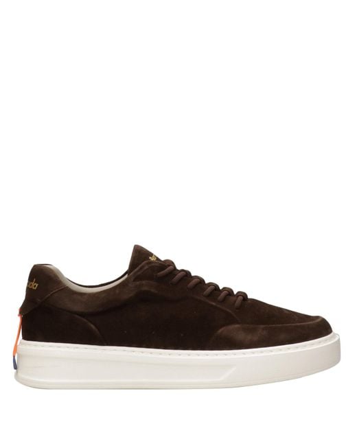 Barracuda Brown Sneakers for men