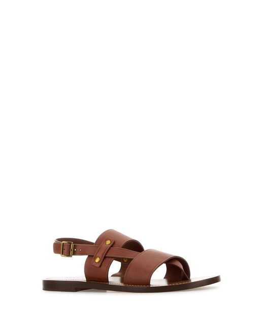 Soeur Brown Amazonia