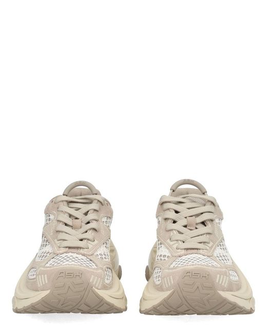 Ash White "Dragon" Sneaker