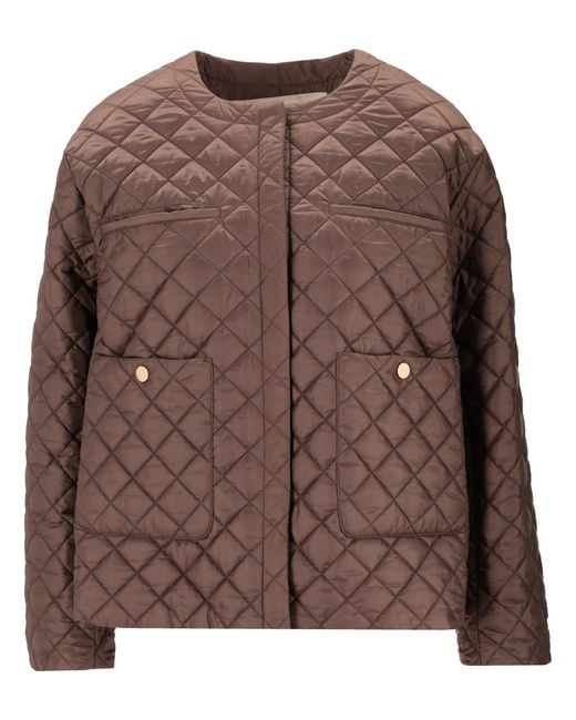 Max Mara Brown Imbottito Corto