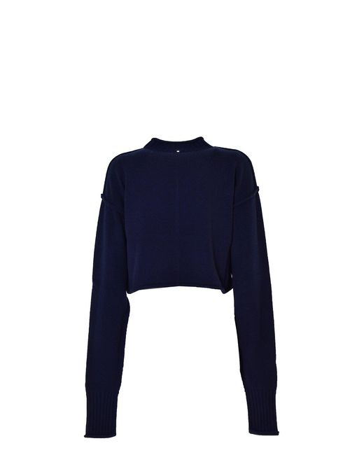 Pulls Sportmax en coloris Blue