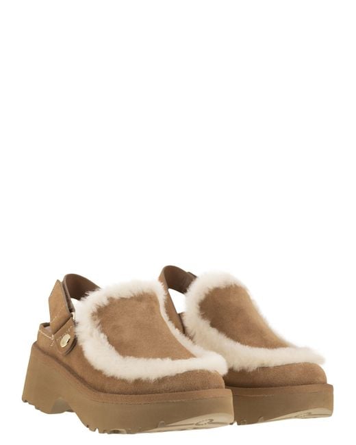 Ugg Brown Esmee Suede Clogs