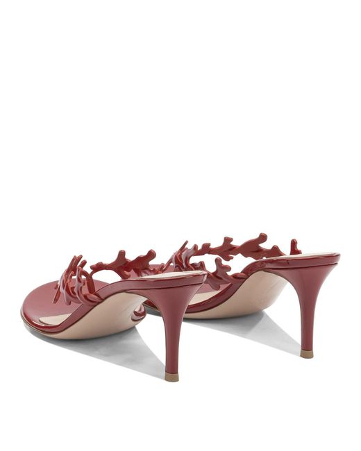 Gianvito Rossi Pink "ocean Thong 70 Mm" Mules