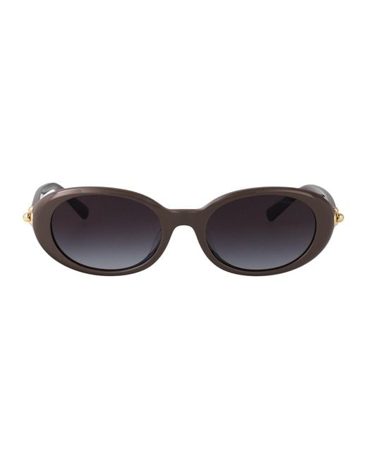 Tiffany & Co Brown Oval Sunglasses 0 Tf4242 D 84013 C
