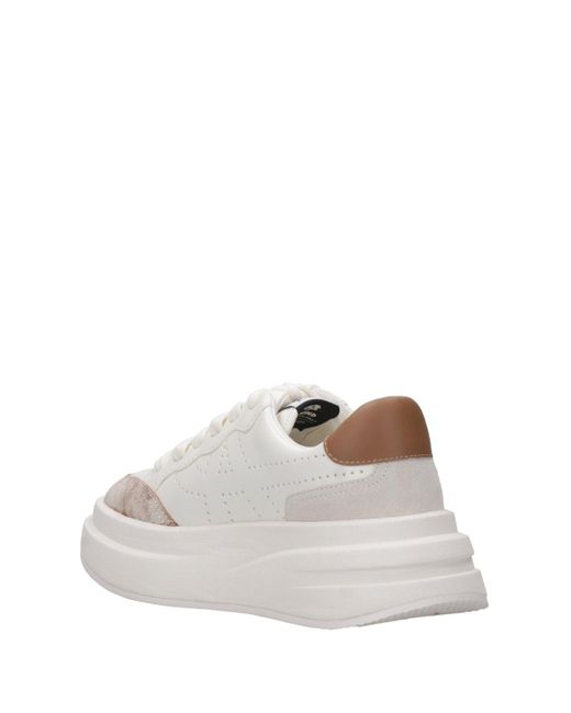 Ash White Asche -Turnschuhe