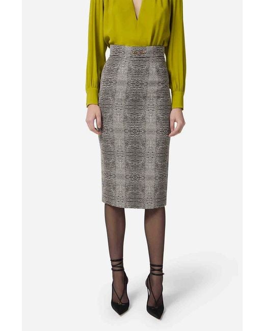 Elisabetta Franchi Gray Skirts