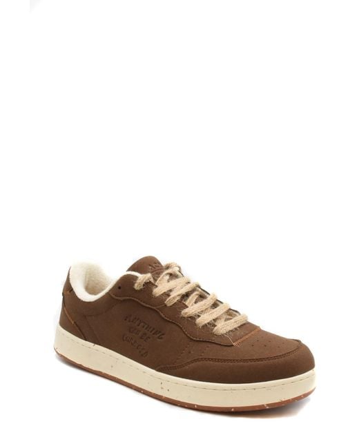 Acbc Brown Sneakers