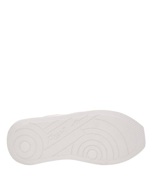 Ash Natural Asche -Turnschuhe