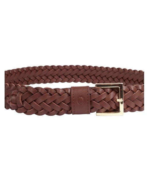 Claudio Orciani Brown Braided Belt