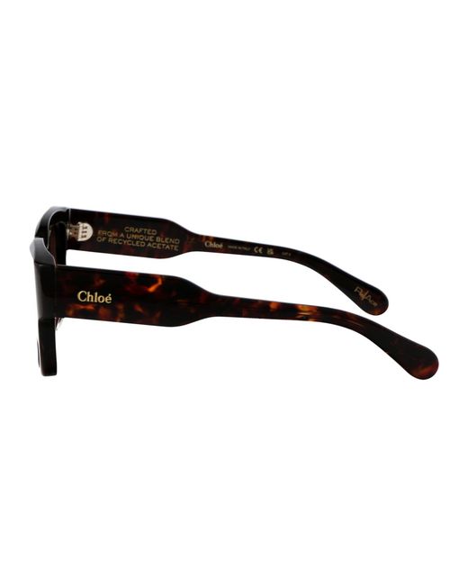 Chloé Brown Eyewear