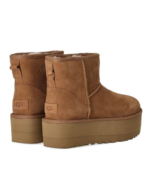 Ugg Brown Classic Mini Platform Chestnut Boot