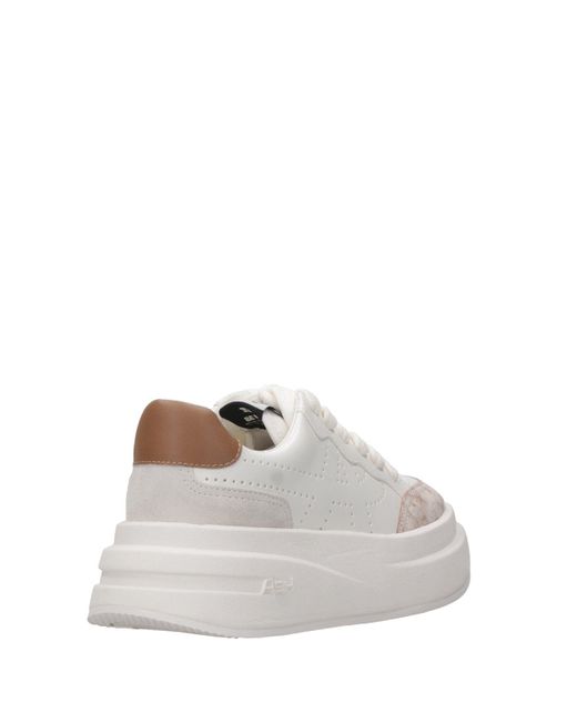 Ash White Asche -Turnschuhe