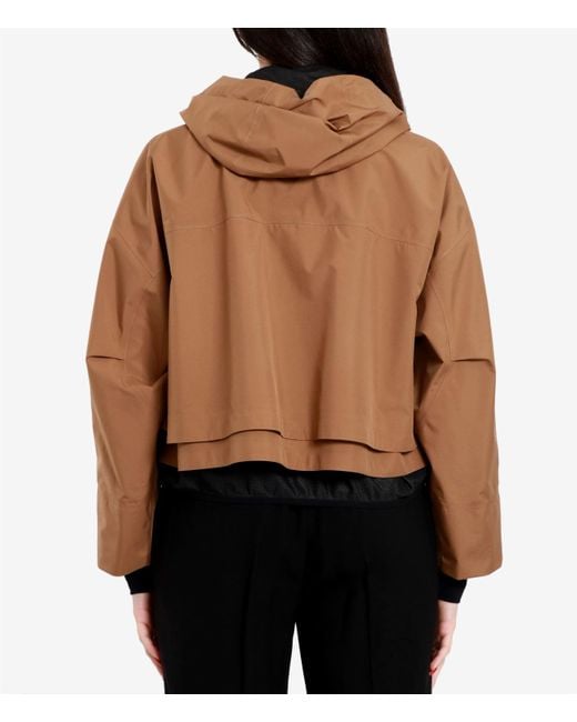 Herno Brown Coats