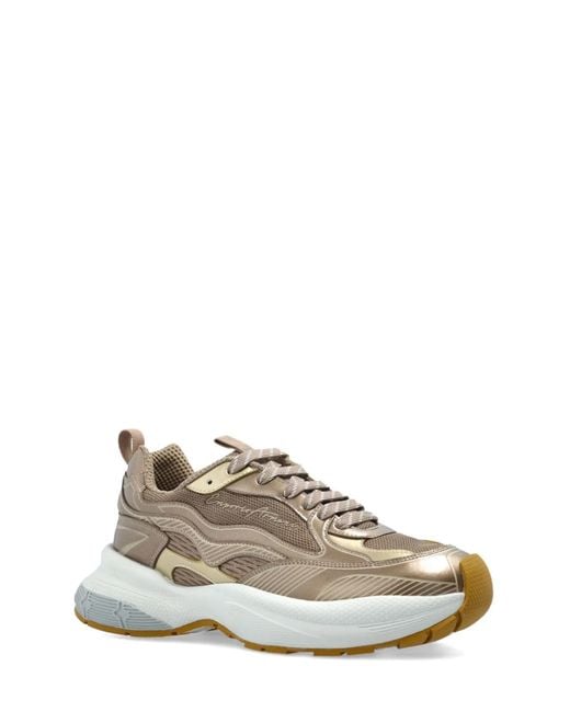 Emporio Armani Sneakers in het White