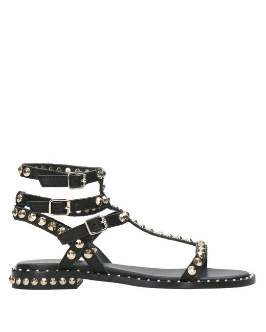 Ash Black Sandals