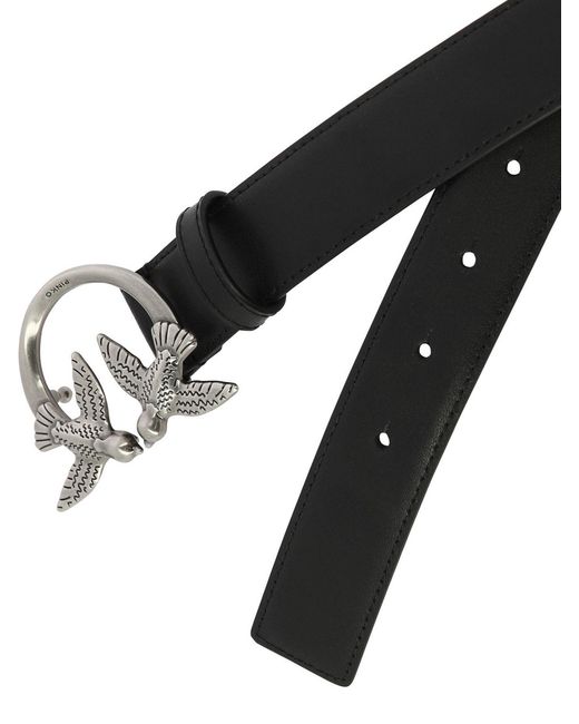 Pinko Black Belts