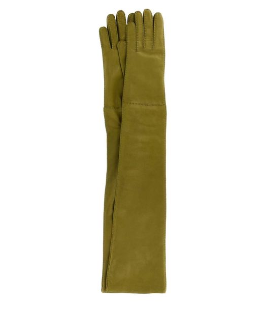Prada Green Nappa Gloves