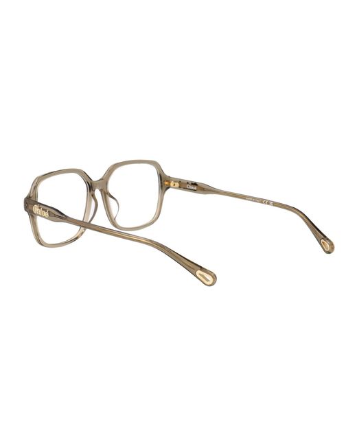 Chloé Multicolor Acetate Optical Glasses