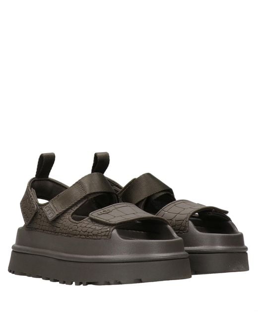 Ugg Brown Sandals