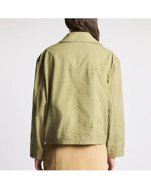Fay Green 3 Ganci Bomber