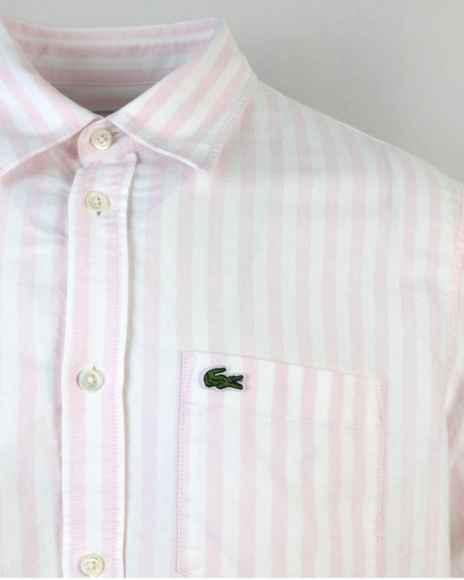 Lacoste White Camicia Oxford A Righe Regular Fit