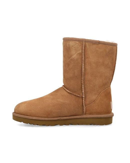 Ugg Brown Classic Short Ii Boot for men