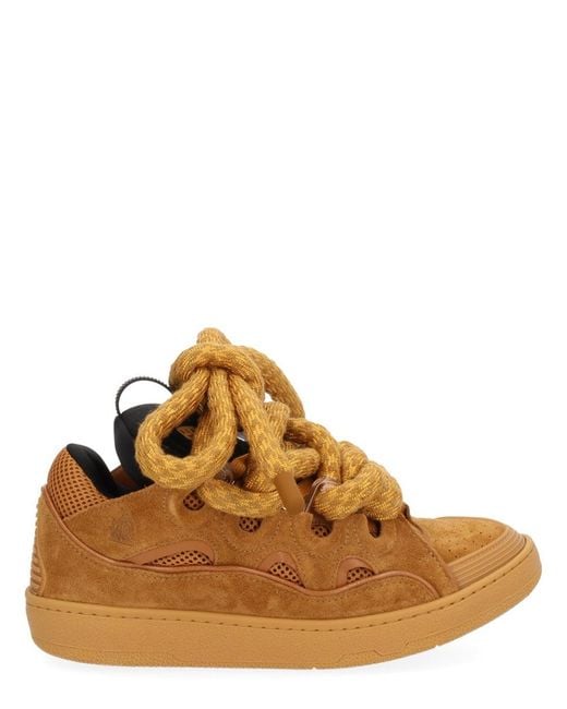 Lanvin Brown Curb Sneakers