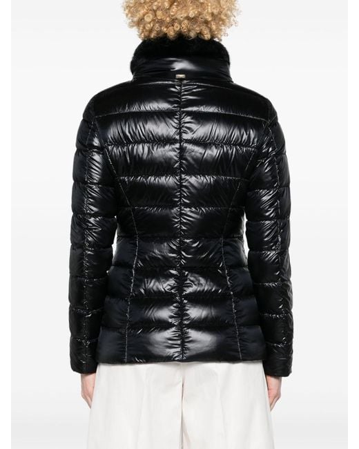 Herno Black Coats