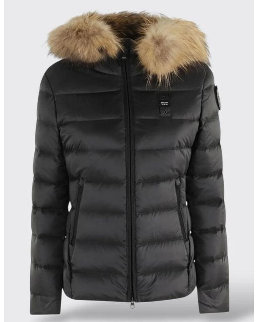 Blauer Black Arcadia