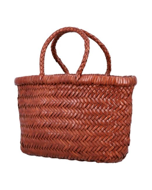 Dragon Diffusion Bags .. Brown in het Red