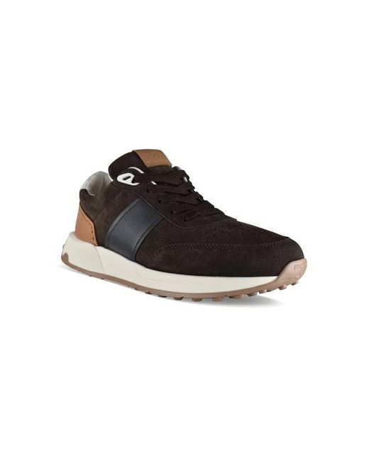Tod's Black Sneakers