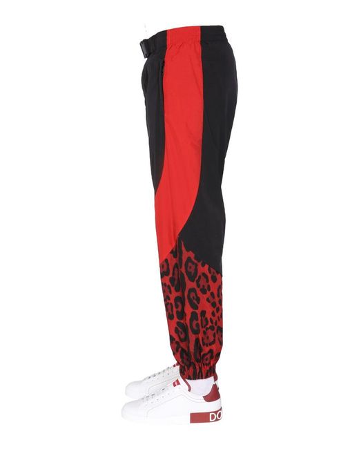 Dolce & Gabbana Red Jogging Pants With Animal Print for men