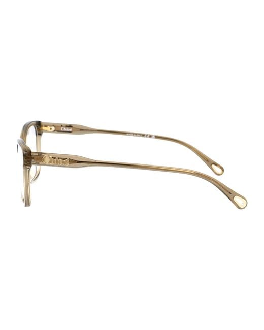Chloé Brown Acetate Optical Glasses