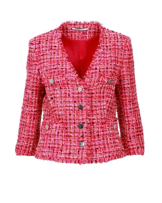 Tagliatore Jassen Fuchsia in het Red