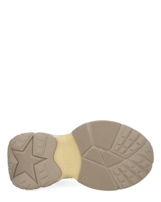 Ash White "Dragon" Sneaker