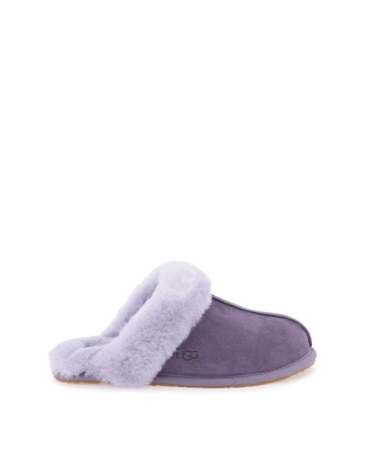 Ugg Scuffette Slippers in het Purple