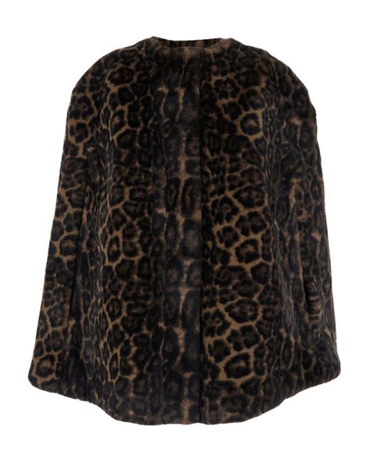 Apparis Black Sloane Leopard Cape