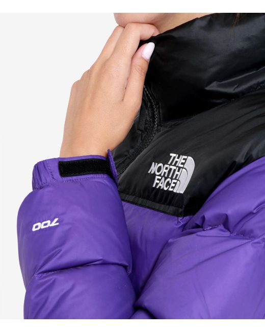 The North Face Purple Die Nordflächenmäntel