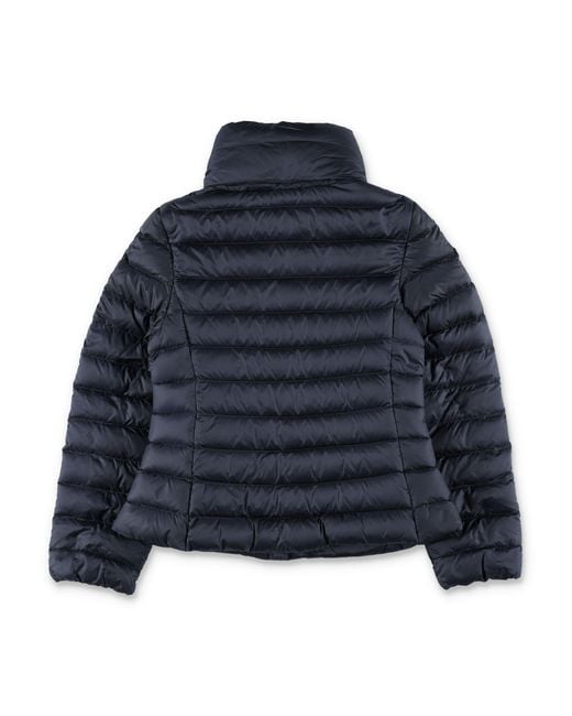 Moncler Blue Coats
